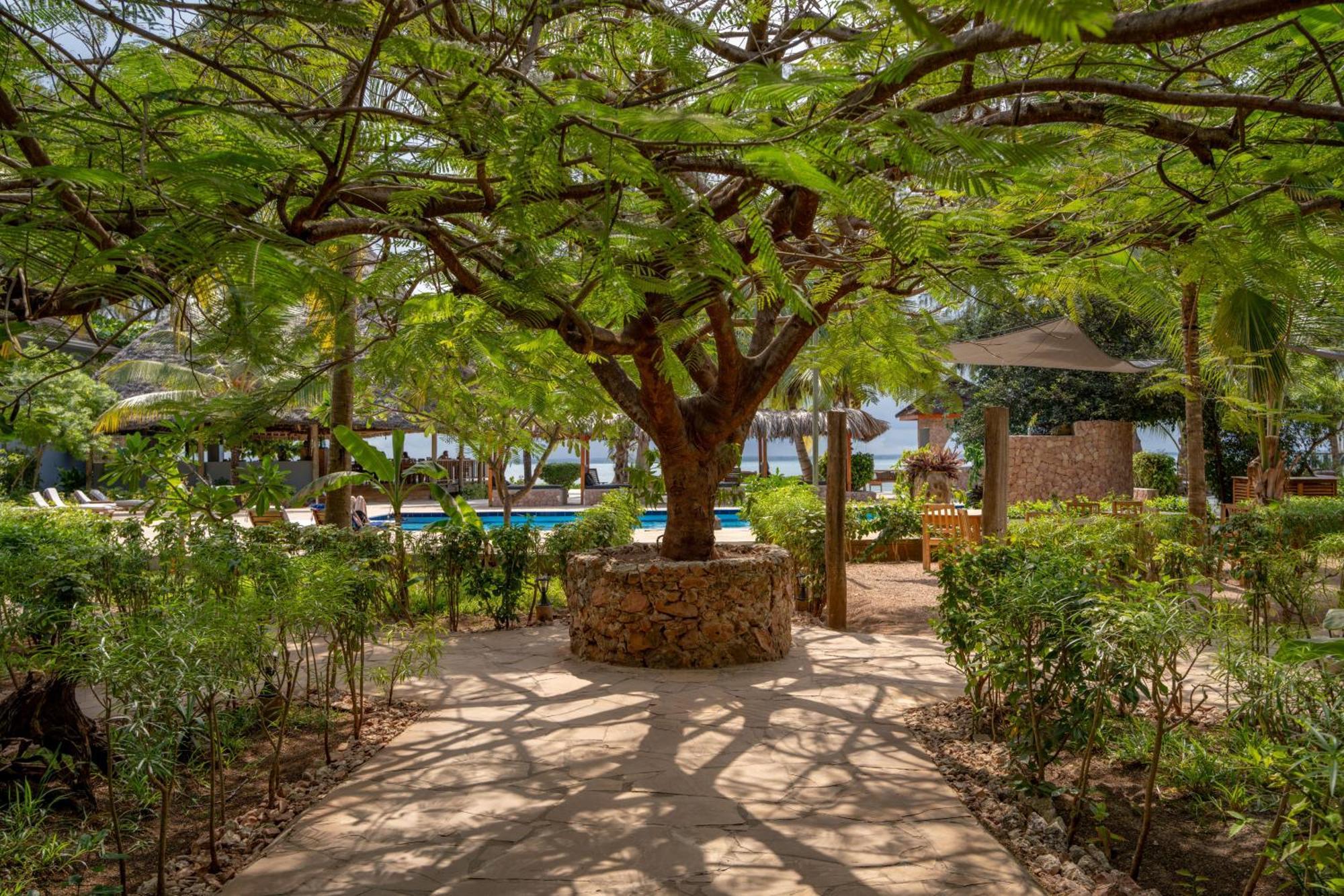 Michamvi Sunset Bay Hotel Ngoại thất bức ảnh